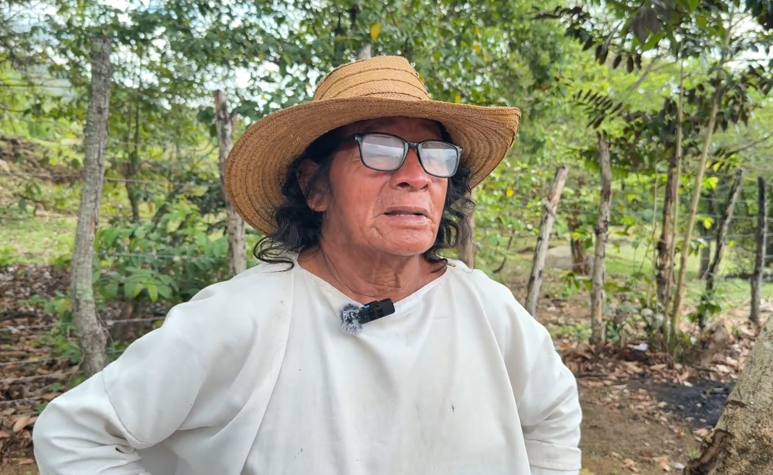 Diálogos con el Mamo Ade Hilario Villazón