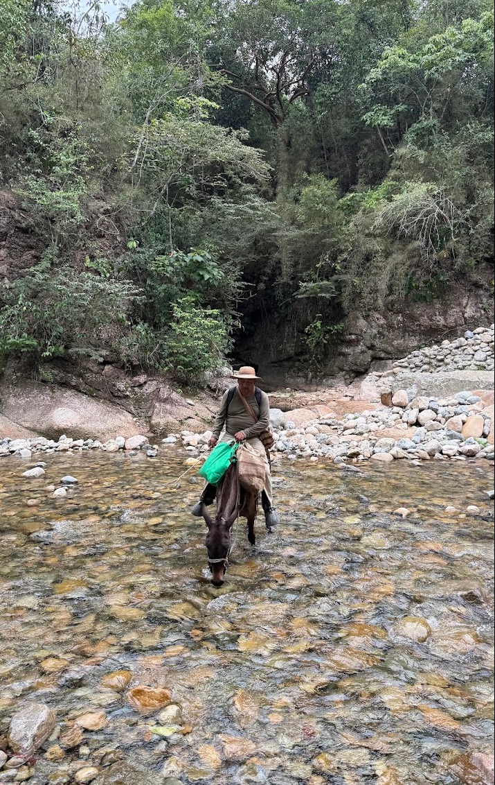Camino a Cherua